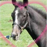 ヒメ日記 2025/05/14 11:35 投稿 本上 横浜おかあさん