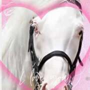 ヒメ日記 2025/05/20 09:13 投稿 本上 横浜おかあさん