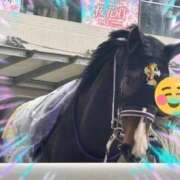 ヒメ日記 2025/05/25 13:05 投稿 本上 横浜おかあさん