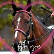 ヒメ日記 2025/05/26 12:35 投稿 本上 横浜おかあさん