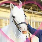 ヒメ日記 2025/05/26 13:35 投稿 本上 横浜おかあさん