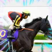 ヒメ日記 2025/06/01 19:05 投稿 本上 横浜おかあさん