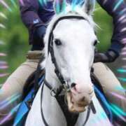 ヒメ日記 2025/06/01 23:05 投稿 本上 横浜おかあさん