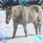 ヒメ日記 2025/06/05 15:45 投稿 本上 横浜おかあさん