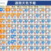 ヒメ日記 2025/06/06 08:22 投稿 本上 横浜おかあさん