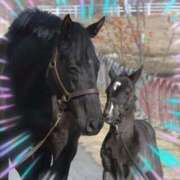 ヒメ日記 2025/06/08 14:15 投稿 本上 横浜おかあさん