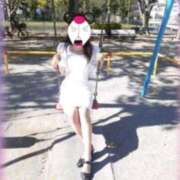 ヒメ日記 2025/06/10 16:25 投稿 本上 横浜おかあさん