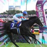 ヒメ日記 2025/06/18 11:55 投稿 本上 横浜おかあさん