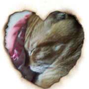 ヒメ日記 2025/06/19 14:48 投稿 本上 横浜おかあさん