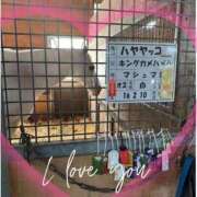 ヒメ日記 2025/06/20 12:25 投稿 本上 横浜おかあさん