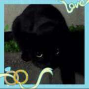 ヒメ日記 2025/06/25 13:55 投稿 本上 横浜おかあさん