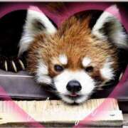 ヒメ日記 2025/06/28 19:06 投稿 本上 横浜おかあさん