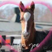 ヒメ日記 2025/07/01 22:25 投稿 本上 横浜おかあさん