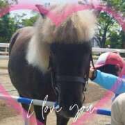 ヒメ日記 2025/07/02 08:25 投稿 本上 横浜おかあさん