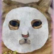 ヒメ日記 2025/07/09 19:35 投稿 本上 横浜おかあさん