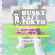 ヒメ日記 2025/07/10 13:45 投稿 本上 横浜おかあさん