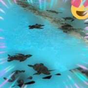 ヒメ日記 2025/07/16 08:45 投稿 本上 横浜おかあさん