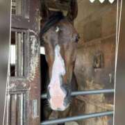 ヒメ日記 2025/07/16 11:05 投稿 本上 横浜おかあさん