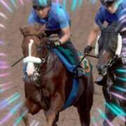 ヒメ日記 2025/07/18 08:55 投稿 本上 横浜おかあさん