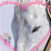 ヒメ日記 2025/07/19 13:35 投稿 本上 横浜おかあさん