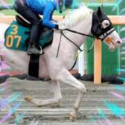 本上 白毛一族のスーホ君♪♪♪ 横浜おかあさん