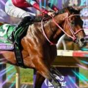 ヒメ日記 2025/12/20 15:52 投稿 本上 横浜おかあさん