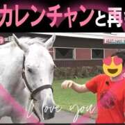 ヒメ日記 2025/12/21 17:14 投稿 本上 横浜おかあさん