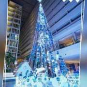 ヒメ日記 2025/12/24 22:25 投稿 本上 横浜おかあさん