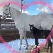 ヒメ日記 2025/12/29 11:15 投稿 本上 横浜おかあさん