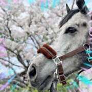 ヒメ日記 2025/12/30 14:35 投稿 本上 横浜おかあさん