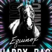 ヒメ日記 2025/12/31 13:39 投稿 本上 横浜おかあさん