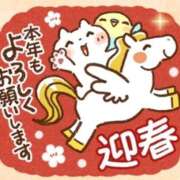 ヒメ日記 2026/01/01 15:05 投稿 本上 横浜おかあさん