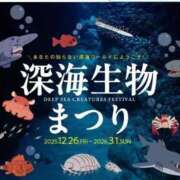 ヒメ日記 2026/01/02 12:55 投稿 本上 横浜おかあさん