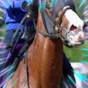 ヒメ日記 2026/01/03 17:45 投稿 本上 横浜おかあさん