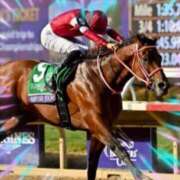 ヒメ日記 2026/01/06 16:27 投稿 本上 横浜おかあさん