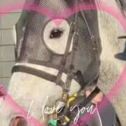 ヒメ日記 2026/01/11 13:01 投稿 本上 横浜おかあさん