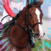 ヒメ日記 2026/01/11 16:25 投稿 本上 横浜おかあさん