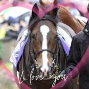 ヒメ日記 2026/01/12 12:23 投稿 本上 横浜おかあさん