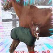 ヒメ日記 2026/01/17 14:35 投稿 本上 横浜おかあさん