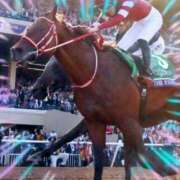 ヒメ日記 2026/01/24 14:37 投稿 本上 横浜おかあさん