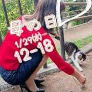 ヒメ日記 2026/01/25 12:35 投稿 本上 横浜おかあさん