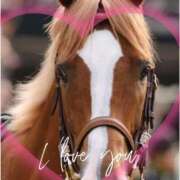 ヒメ日記 2026/01/29 14:55 投稿 本上 横浜おかあさん