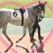 ヒメ日記 2026/02/01 14:05 投稿 本上 横浜おかあさん