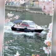 ヒメ日記 2026/02/02 15:31 投稿 本上 横浜おかあさん