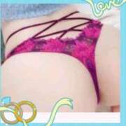 ヒメ日記 2026/02/03 01:25 投稿 本上 横浜おかあさん