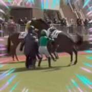 ヒメ日記 2026/02/05 15:35 投稿 本上 横浜おかあさん