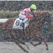 ヒメ日記 2026/02/07 18:25 投稿 本上 横浜おかあさん