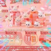 ヒメ日記 2026/02/11 11:15 投稿 本上 横浜おかあさん