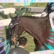 ヒメ日記 2026/02/12 21:35 投稿 本上 横浜おかあさん