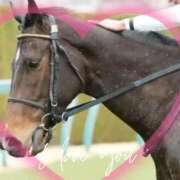 ヒメ日記 2026/02/18 18:55 投稿 本上 横浜おかあさん